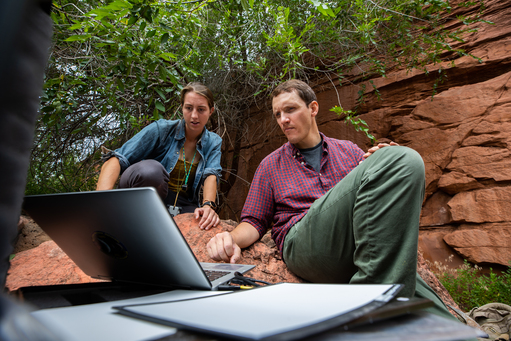 Radiant researchers conducting field work